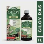 Giloy Juice