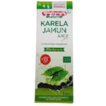 Front View-Karela Jamun Juice (1Ltr) - Baidyanath